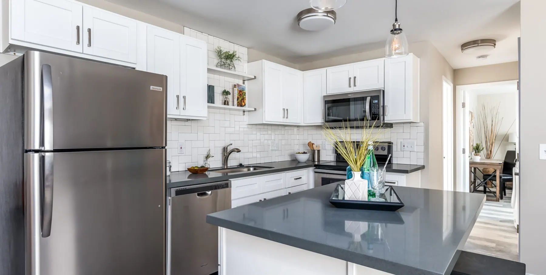 Modern dishwasher and disposal